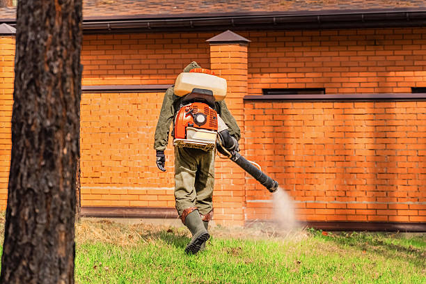 Trusted Termite Control service in Trappe, MD - Nex Pest Control
